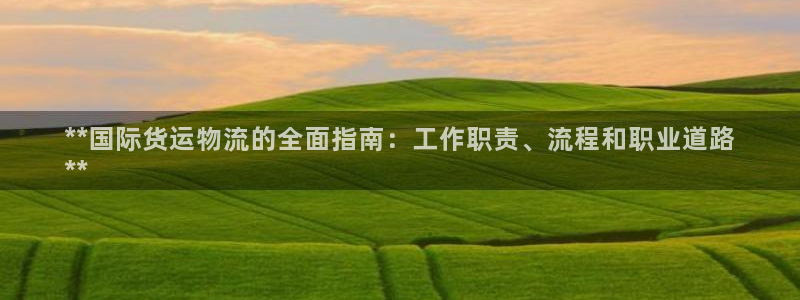 尊龙人生就是博旧：**国际货运物流的全面指南：工作职责、