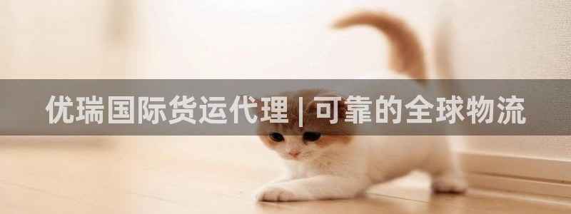尊龙人生就是博旗舰厅：优瑞国际货运代理 | 可靠的全球物