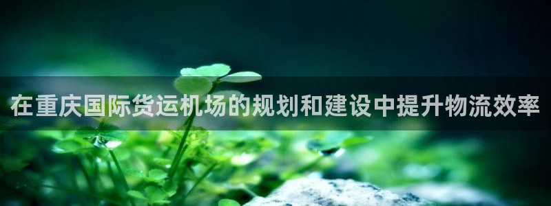 尊龙一人生就是搏：在重庆国际货运机场的规划和建设中提升物