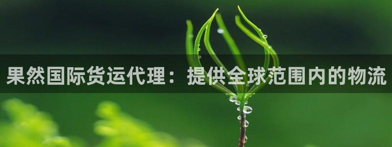 尊龙凯时的最新消息：果然国际货运代理：提供全球范围内的物