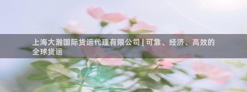 尊龙人生就是博i可靠吗：上海大瀚国际货运代理有限公司 |
