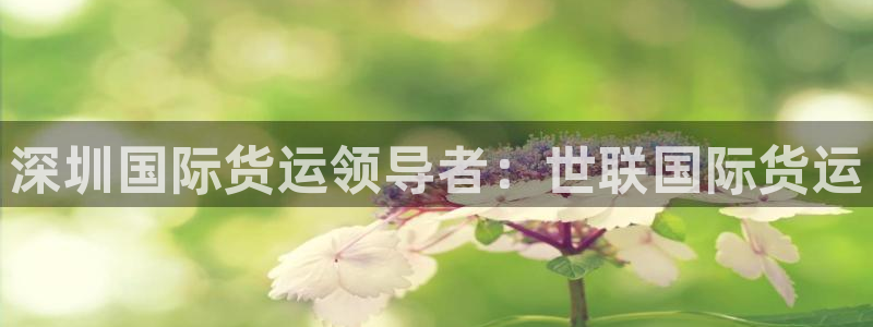 尊龙凯时注册：深圳国际货运领导者：世联国际货运
