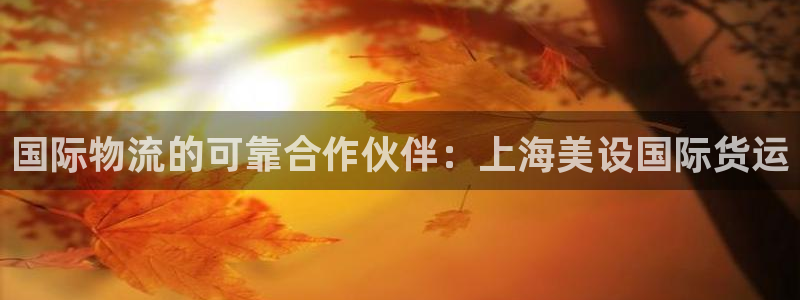 尊龙,人生就是搏：国际物流的可靠合作伙伴：上海美设国际货