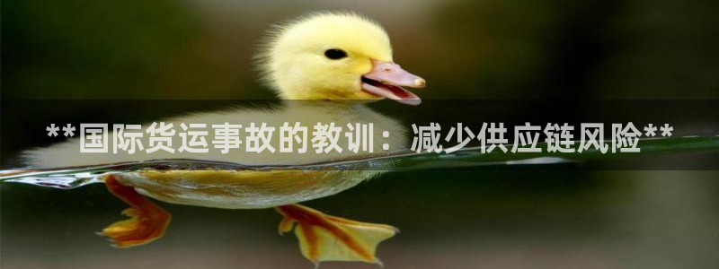 尊龙人生就是-首页(中国)有限公司：**国际货运事故的教