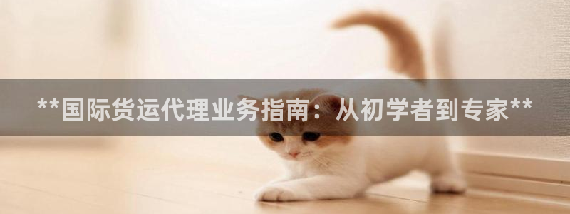尊龙AG旗舰厅app下载：**国际货运代理业务指南：从初