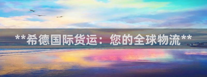 尊龙人生就是博送38：**希德国际货运：您的全球物流**