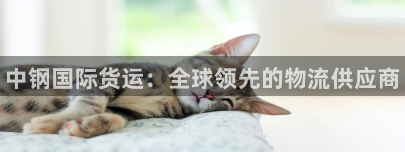 ag尊龙凯时俱乐部：中钢国际货运：全球领先的物流供应商