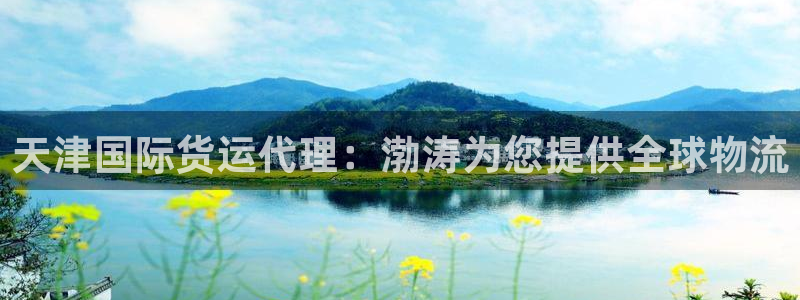 尊龙人生就是博电脑版：天津国际货运代理：渤涛为您提供全球