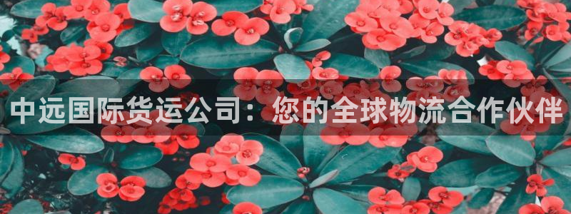 尊龙集团有限公司官网：中远国际货运公司：您的全球物流合作