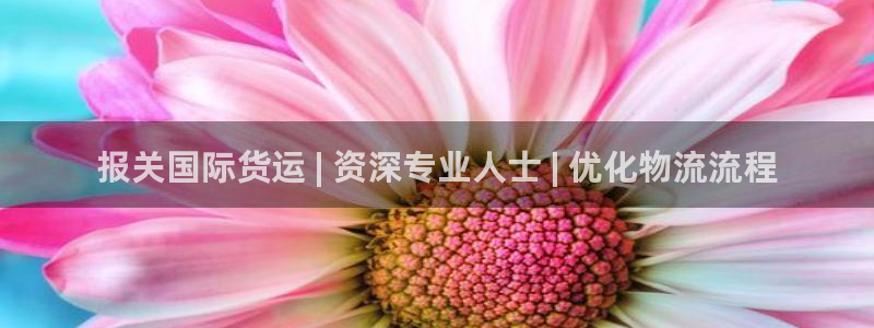 尊龙凯时人生就是搏客户：报关国际货运 | 资深专业人士 