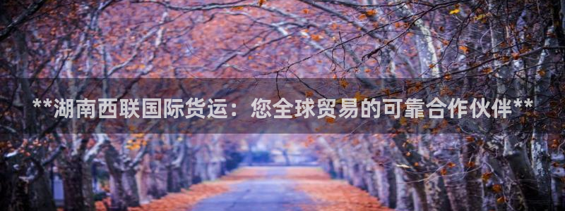 尊龙官网免费下载安装：**湖南西联国际货运：您全球贸易的