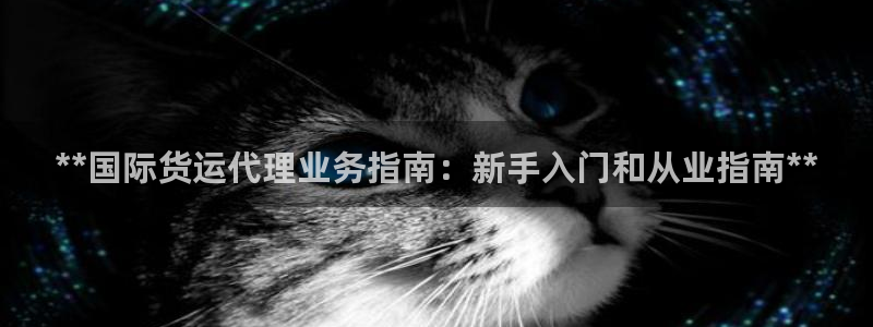 尊龙凯时ag旗舰厅官方网站：**国际货运代理业务指南：新
