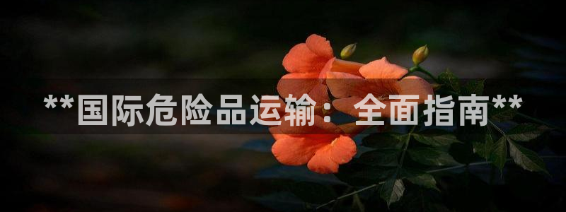 尊龙凯时平台怎么样：**国际危险品运输：全面指南**