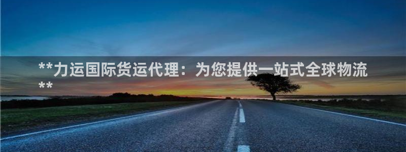 尊龙旗舰app：**力运国际货运代理：为您提供一站式全球