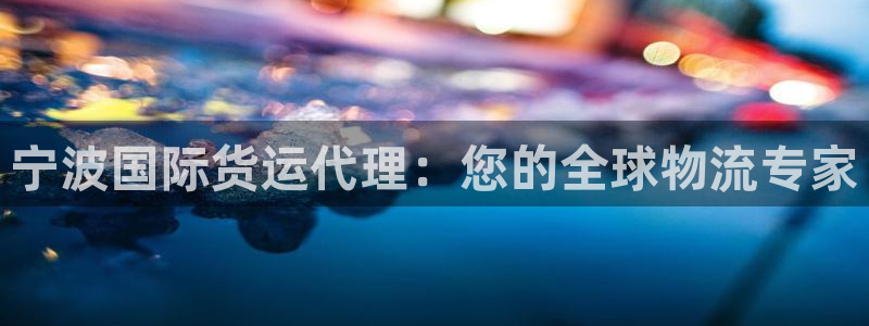 尊龙官方身高：宁波国际货运代理：您的全球物流专家