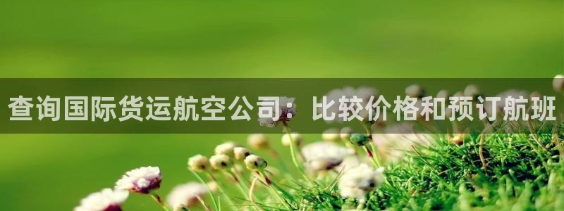 尊龙凯时电竞：查询国际货运航空公司：比较价格和预订航班