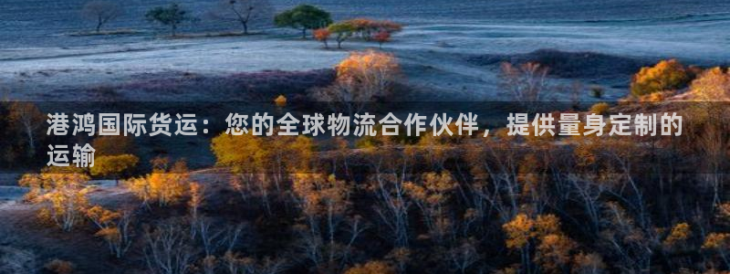 百度一下尊龙：港鸿国际货运：您的全球物流合作伙伴，提供量