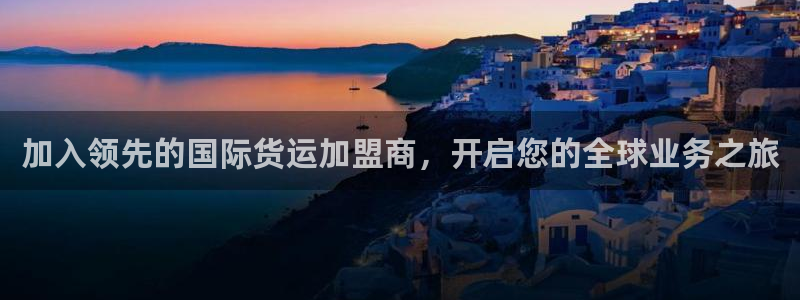 d88尊龙手机客户端下载：加入领先的国际货运加盟商，开启