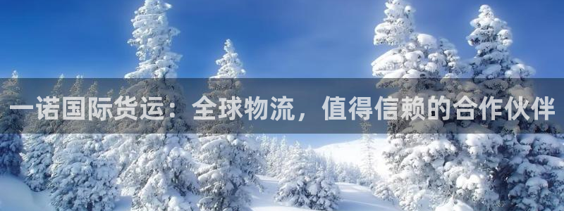 尊龙休闲e站怎么样：一诺国际货运：全球物流，值得信赖的合