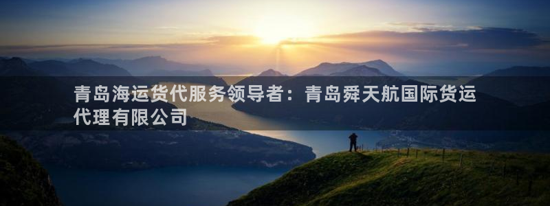 尊龙凯时网站怎么样：青岛海运货代服务领导者：青岛舜天航国