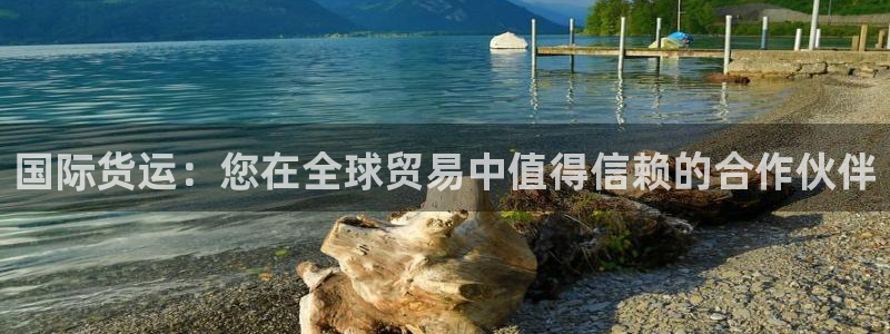 尊龙官网手机版下载：国际货运：您在全球贸易中值得信赖的合
