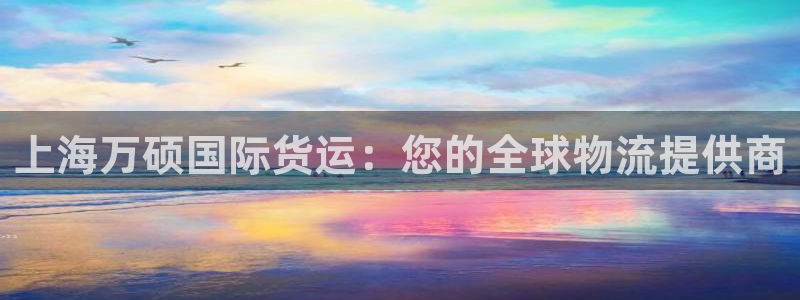 尊龙官网网页版：上海万硕国际货运：您的全球物流提供商