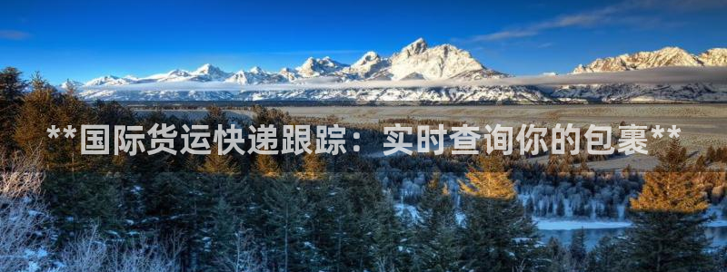 尊龙凯时：**国际货运快递跟踪：实时查询你的包裹**