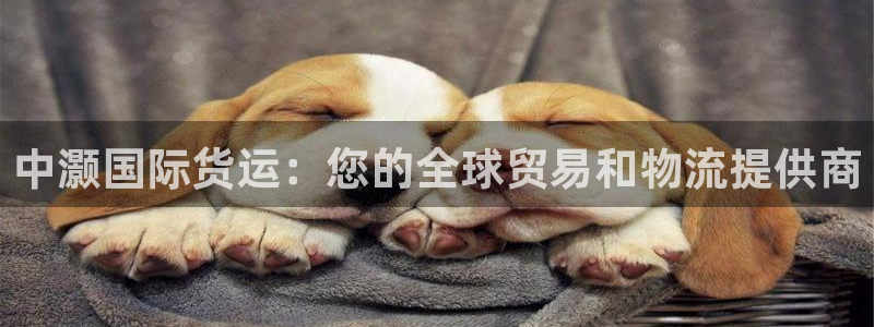 尊龙凯时官网版登录：中灏国际货运：您的全球贸易和物流提供