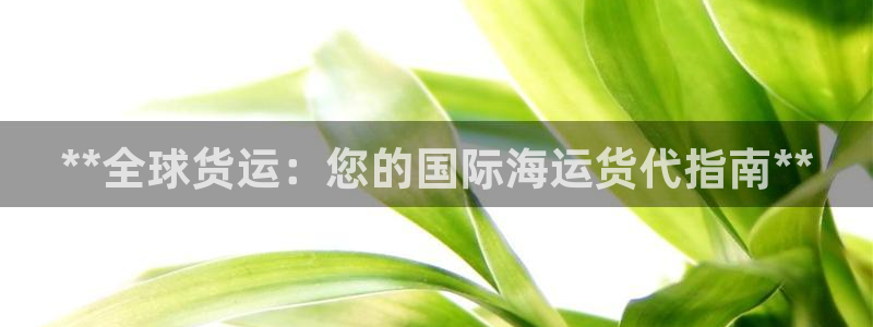尊龙凯时下载官方正版：**全球货运：您的国际海运货代指南
