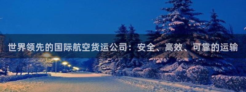 尊龙凯时老板：世界领先的国际航空货运公司：安全、高效、可