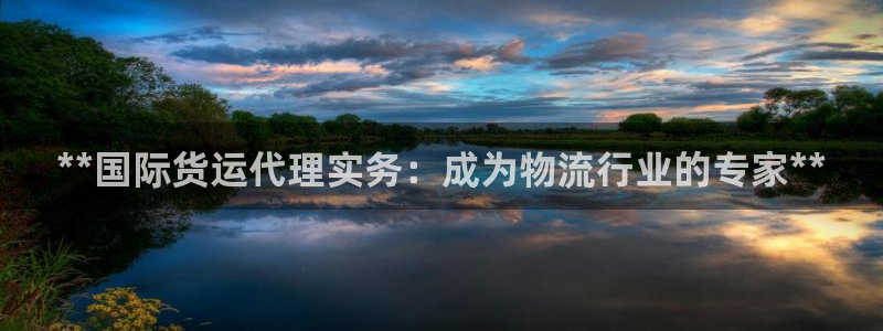 尊龙人生就是博官方官网：**国际货运代理实务：成为物流行