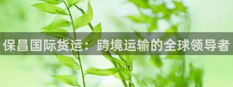 尊龙凯时返现：保昌国际货运：跨境运输的全球领导者