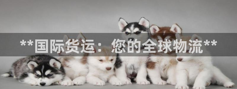 尊龙人生就是博菲律宾台子：**国际货运：您的全球物流**