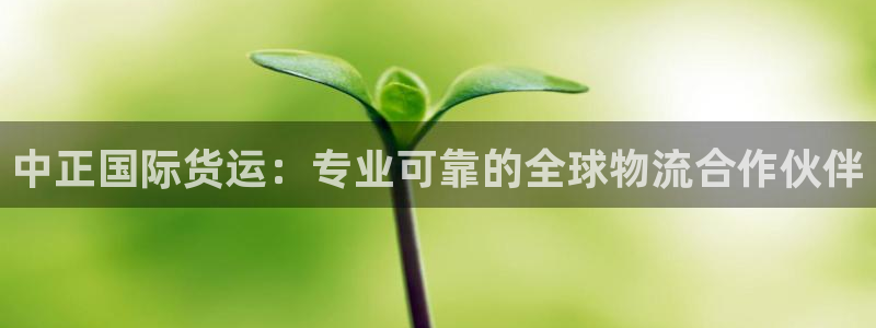 尊龙凯时线下赌场：中正国际货运：专业可靠的全球物流合作伙