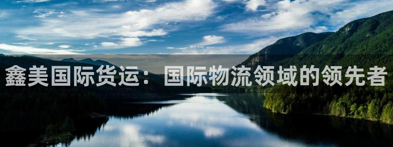 尊龙王t400：鑫美国际货运：国际物流领域的领先者