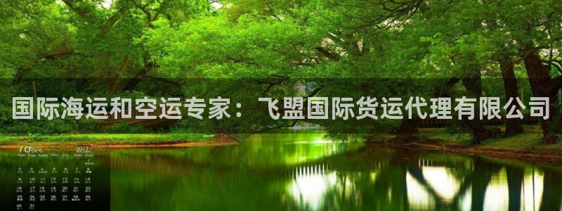 尊龙官方app下载：国际海运和空运专家：飞盟国际货运代理