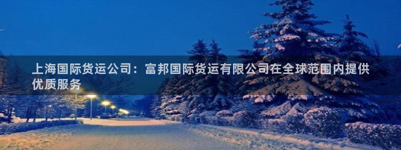 尊龙凯时论坛：上海国际货运公司：富邦国际货运有限公司在全