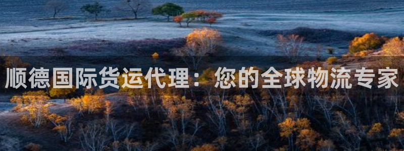 尊龙凯时人生就博官网登录：顺德国际货运代理：您的全球物流