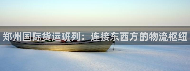 尊龙凯时登陆网址：郑州国际货运班列：连接东西方的物流枢纽