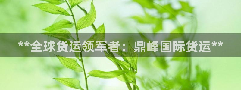 尊龙最新版：**全球货运领军者：鼎峰国际货运**