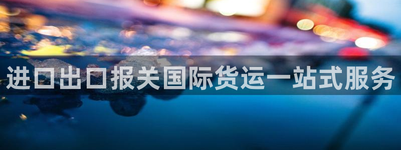 尊龙 10：进口出口报关国际货运一站式服务