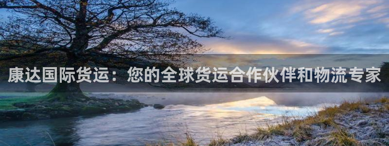 尊龙人生就是博：康达国际货运：您的全球货运合作伙伴和物流