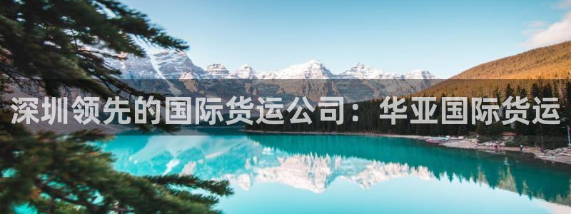 尊龙王t400：深圳领先的国际货运公司：华亚国际货运