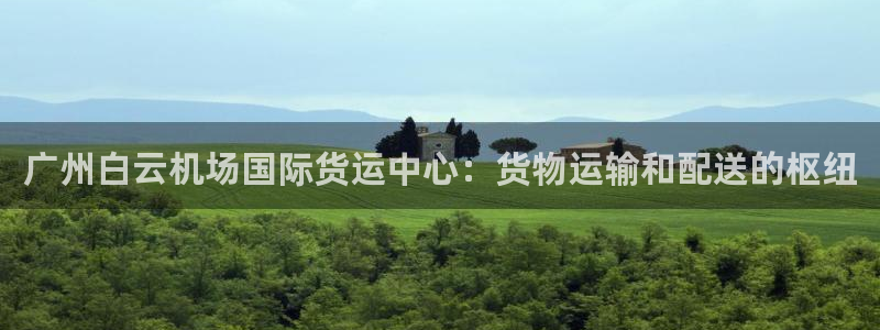 尊龙游戏官网：广州白云机场国际货运中心：货物运输和配送的