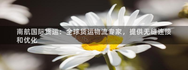 z6尊龙官网：南航国际货运：全球货运物流专家，提供无缝连