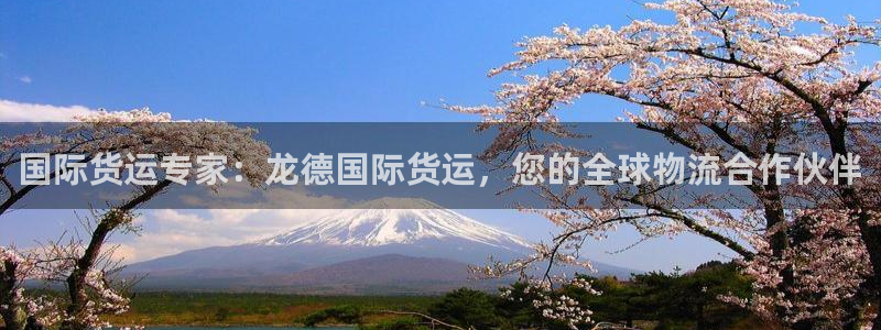 尊龙是什么软件：国际货运专家：龙德国际货运，您的全球物流