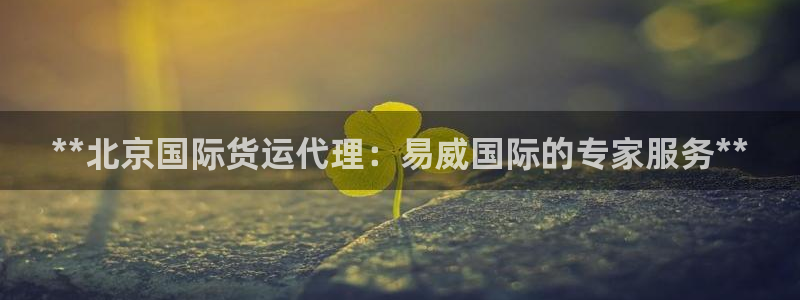 尊龙凯时麻将胡了：**北京国际货运代理：易威国际的专家服