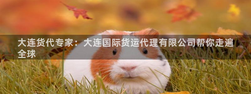 尊龙凯时app安装：大连货代专家：大连国际货运代理有限公