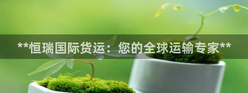 Z6尊龙凯时登录：**恒瑞国际货运：您的全球运输专家**