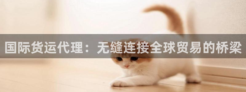 尊龙人生就是博送38：国际货运代理：无缝连接全球贸易的桥